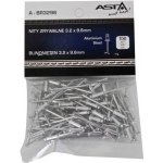 ASTA Trhací nýty hliník-ocel 3,2×9,6 mm 100 ks Asta, A-BR3296/100 – Sleviste.cz