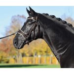 BUSSE Obnosek lonžovací Fit Pro dark brown cream – Hledejceny.cz