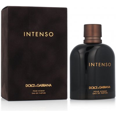 Dolce & Gabbana Intenso parfémovaná voda pánská 200 ml – Hledejceny.cz