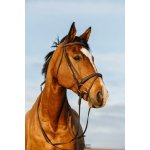 Riding Word FLASH Černá – Zboží Dáma