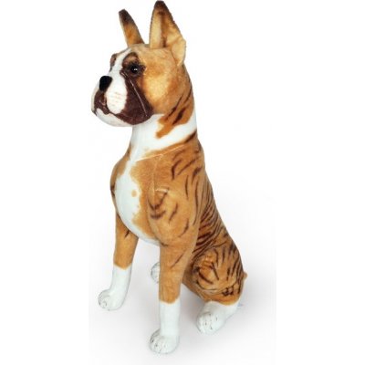 pes boxer Dapple sedící 64 cm