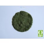 Model Scene Statická tráva 2 mm časné léto 50g 002-03 – Sleviste.cz