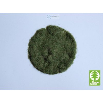 Model Scene Statická tráva 2 mm časné léto 50g 002-03 – Sleviste.cz