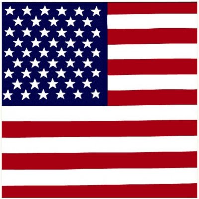Blingstar Bandana šátek USA vlajka 1380