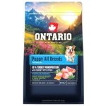 Ontario Puppy & Junior All Breeds Monoprotein Turkey & Sweet Potatoes 0,75 kg – Hledejceny.cz