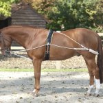 Fair Play Pessoa postroj pro koně Černá – Zboží Dáma