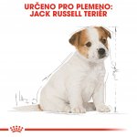 Royal Canin Jack Russell Terrier Puppy 4,5 kg – Zboží Mobilmania