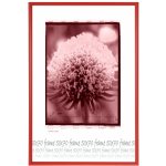 Tradag Rámeček červený UH 50x70 – Zboží Živě