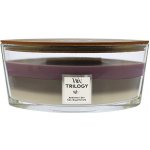 WoodWick Trilogy Amethyst Sky 453,6 g – Zboží Dáma