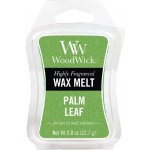 WoodWick vonný vosk do aroma lampy Palm Leaf Palmový list 22,7 g – Hledejceny.cz
