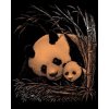 Škrábací  obrázek Mědený škrabací obrázek Panda s mládětem