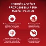 Purina ONE Mini Adult hovězí s rýží 0,8 kg – Hledejceny.cz