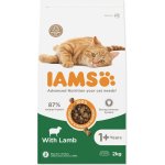 Iams Cat Adult Lamb 2 kg – Zboží Mobilmania