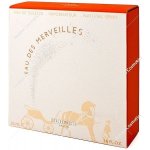 Hermès Eau des Merveilles toaletní voda dámská 50 ml – Hledejceny.cz