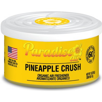 Paradise Air Organic Air Freshener Ananas 42 g – Hledejceny.cz