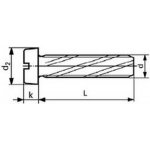 šroub M4x10 ZINEK závitořezný válcová hlava rovná drážka DIN 7513B [1 ks] – Sleviste.cz