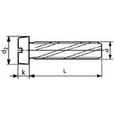 šroub M4x10 ZINEK závitořezný válcová hlava rovná drážka DIN 7513B [1 ks] – Sleviste.cz