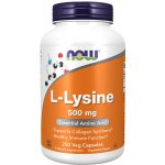 Now Foods Foods L-Lysine 500 250 tablet – Hledejceny.cz