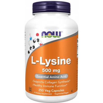 Now Foods L-Lysine 500 mg 250 tablet