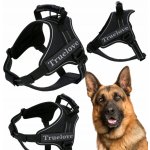 Truelove Postroj pro psa – Zboží Dáma