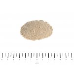 Canina Equolyt Arthro Forte 0,5 kg – Zboží Mobilmania