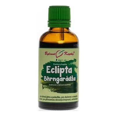 Bylinné kapky Eclipta Bhrngarádža tinktura 50 ml – Hledejceny.cz