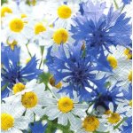 Ubrousek 33x33 cm CHRPY A KOPRETINY – Zboží Dáma