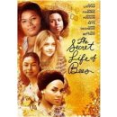 The Secret Life Of Bees DVD