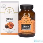 Puntura Chaga Premium 100 kapslí – Hledejceny.cz