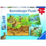 Ravensburger Zvířátka ve svých domovech 3 x 49 dílků – Zboží Dáma