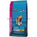 Krmivo pro psa Eukanuba Mature & Senior Large Breed 3 kg