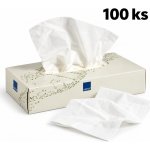 ABENA Care-Ness Excellent 2-vrstvé 100 ks – Hledejceny.cz