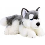 Eco-Friendly Rappa pes husky 30 cm – Zbozi.Blesk.cz