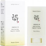 Beauty Of Joseon Matte Sun Stick Mugwort + Camelia opalovací krém v tyčince SPF50+ 18 g – Zboží Dáma