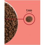 ACANA HIGHEST PROTEIN INDOOR CAT 4,5 kg – Zboží Dáma