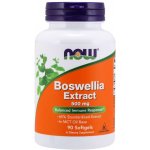 Now Foods Boswellia Extrakt 500 mg 90 softgelových kapslí – Hledejceny.cz