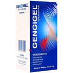 Gengigel 150 ml – Zbozi.Blesk.cz