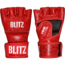 Blitz Sparring Pro MMA