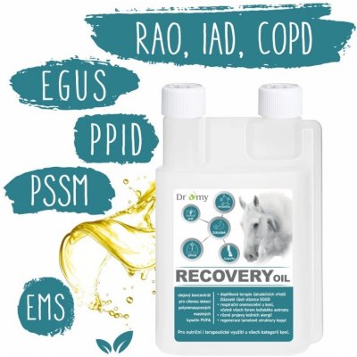 Dromy Recovery oil 1 l – Zboží Dáma