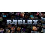 Roblox herní měna 100 Robux – Zboží Dáma