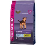 Eukanuba Puppy & Junior Large Breed 3 kg – Hledejceny.cz