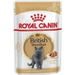 Royal Canin British Shorhair 85 g – Hledejceny.cz