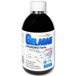 Orling Chondrocan Forte Biosol 500 ml – Hledejceny.cz