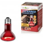 Repti Zoo Infračervená žárovka 75 W – Zboží Dáma