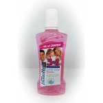 DentaHerb brusinka 3v1 500 ml – Zboží Mobilmania