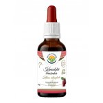 Salvia Paradise Kanadská brusinka lyofilizovaná AF tinktura 50 ml – Hledejceny.cz