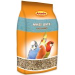 Avicentra oves nahý 1 kg – Zboží Dáma