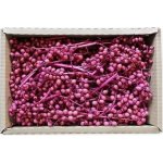 Canella Small Pink 35 ks – Hledejceny.cz