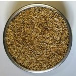 ZS Dynín Oves krmný zrno 25 kg – Zboží Dáma