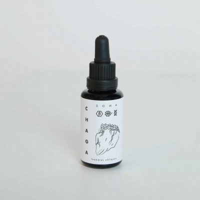 Kääpä Mushrooms Chaga BIO tinktura 30 ml – Hledejceny.cz